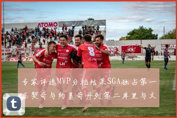 专家评选MVP分档结果SGA独占第一东契奇与约基奇并列第二库里与文班位列第四