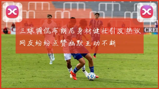 三球调侃布朗尼身材健壮引发热议网友纷纷点赞幽默互动不断