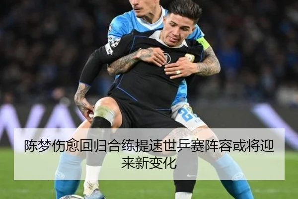 陈梦伤愈回归合练提速世乒赛阵容或将迎来新变化 - betway